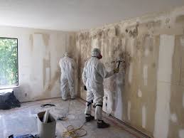 Best Industrial Mold Remediation in Babbitt, MN